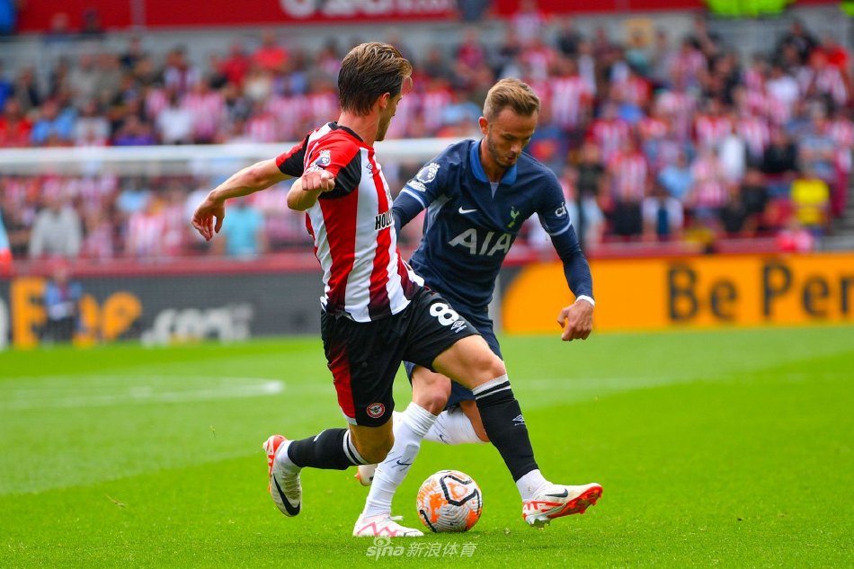 篮球文化的 篮球文化的